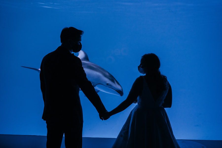 ||||||||||||||||||||||||||||||||